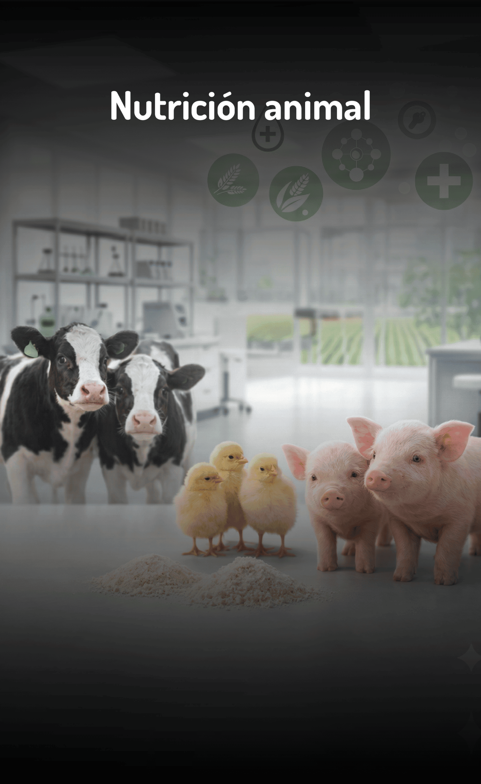 Nutrición animal
