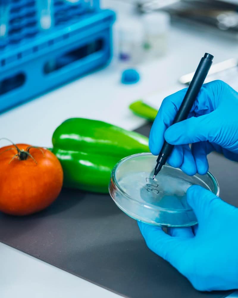 Laboratorios de Aplicaciones
