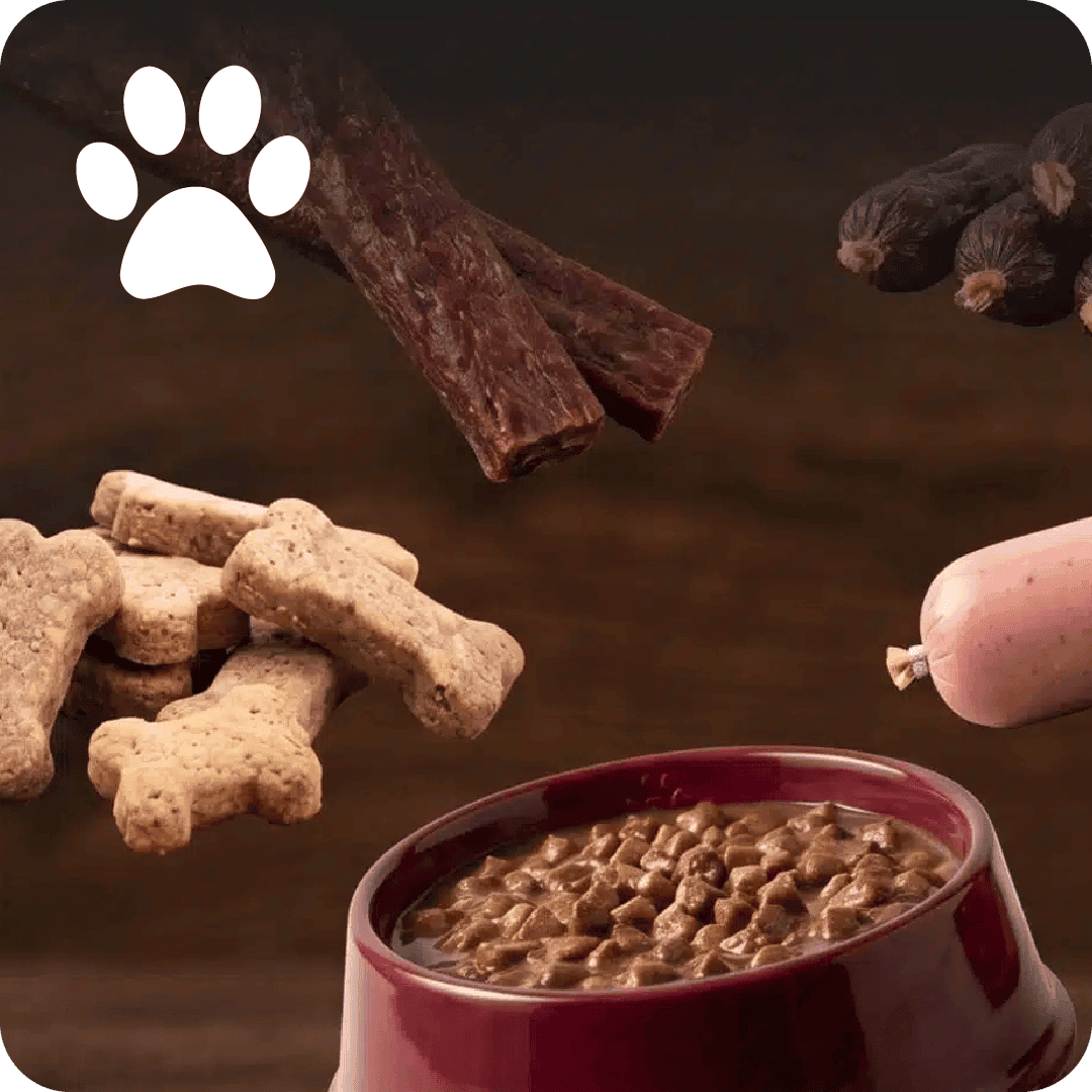 Pet food